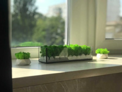 Здається квартира Київ, Святошинський, Михайла Котельникова, 1 фото 7 Здається квартира Київ, Святошинський, Михайла Котельникова, 1 фото 7