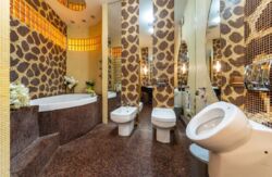 Здається квартира Київ, Печерський, Шота Руставелі, 26 фото 10 Здається квартира Київ, Печерський, Шота Руставелі, 26 фото 10