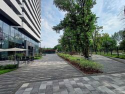 ������� �������� ������������, 100�, ���, �����������, �. ������������ ���� 19