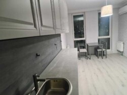 ������� �������� ���. ����� ������, 75�, ���, ���������� ���� 11