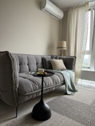 ������� �������� ���������� �����, 8/17, ���, ���������� ���� 8