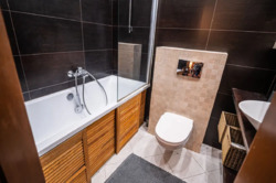 ������� �������� ����� ���������, 28, ���, �����'������� ���� 19