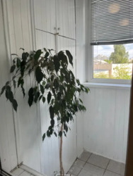   , , . . , 5-  10