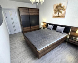 Здається квартира Київ, Подільський, Олександра Олеся, 17 фото 2 Здається квартира Київ, Подільський, Олександра Олеся, 17 фото 2