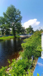 Здається квартира Київ, Алімпія Галика, 75 фото 8 Здається квартира Київ, Алімпія Галика, 75 фото 8