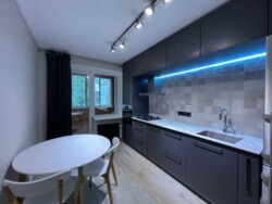 Здається квартира Київ, Дніпровський, Раїси Окіпної, 3В фото 3 Здається квартира Київ, Дніпровський, Раїси Окіпної, 3В фото 3