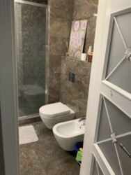 ������� �������� ���. ��� ����������, 5, ���, ����������� ���� 5