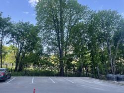 ������� �������� �������� �����������, 148-�, ���, ����������� ���� 19