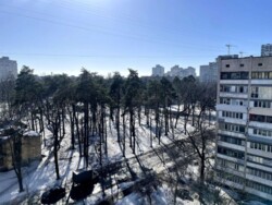 ������� �������� ������������� ��������, 91, ���, �������������, �. �������� ���� 15