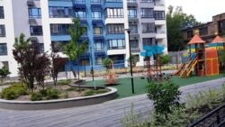 ������� �������� ���������, 1�, ���, ������������� ���� 2