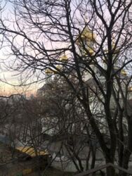 ������� �������� �������� ���������(�������������), 13�, ���, ������������� ���� 22