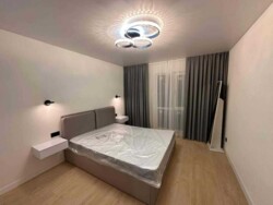 ������� �������� �����������, 24, ���, ����������� ���� 3