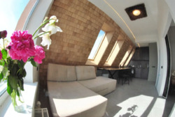 ������� �������� ���. ���������, 14�, ���, ������������ ���� 3