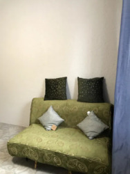 ������� �������� ��������, 44, ��� ���� 13