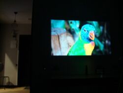 ������� �������� ������ ������, 4, ���, ����������� ���� 11