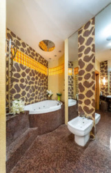 Здається квартира Київ, Печерський, Шота Руставелі, 26 фото 11 Здається квартира Київ, Печерський, Шота Руставелі, 26 фото 11