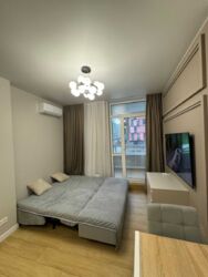 ������� �������� ����� ����������, 1, ���, ����������� ���� 8