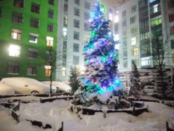 ������� �������� �������� ����� ˳, 2�, ���, �����������, �. ����������� ����� ���� 9