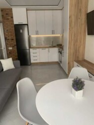 ������� �������� ������� �����������, 24, ���, ����������� ���� 2