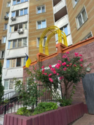 ������� �������� ���, ���������� ���� 5