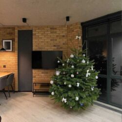 ������� �������� �������������, 5�, ���, ������������� ���� 10