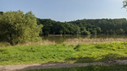 ������� �������� �����.�����, 54 �, ���, ����������� ���� 18