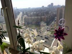 Здається квартира Чоколівський бульв., 42А, Київ, Солом'янський фото 9 Здається квартира Чоколівський бульв., 42А, Київ, Солом'янський фото 9