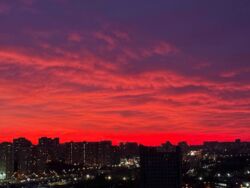 ������� �������� ������� ��������, 41�, ���, ����������, �. �������� ���� 3