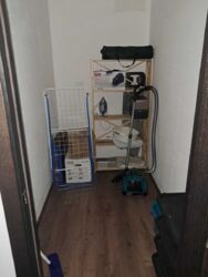 ������� �������� �����. �������������, 67�, ���, ������������� ���� 11