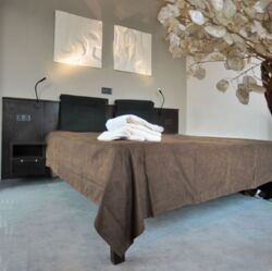 ������� �������� ���. ���������, 14�, ���, ������������ ���� 15