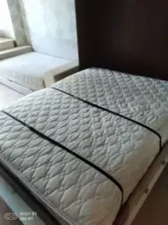 ������� �������� ���. ���������, 33, ���, ������������ ���� 3