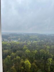 ������� �������� �����������, 15�, ���, ����������� ���� 16