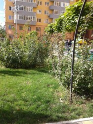 ������� �������� ���. ��� ����������, 3, ���, ����������� ���� 16