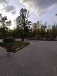 Здається квартира Київ, Святошинський, провулок Приладний,10, м. Академмістечко фото 21 Здається квартира Київ, Святошинський, провулок Приладний,10, м. Академмістечко фото 21