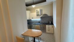 ������� �������� �������� �������������� (���� ��������), 25, ���, ������������� ���� 8