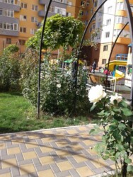 ������� �������� ���. ��� ����������, 3, ���, ����������� ���� 17