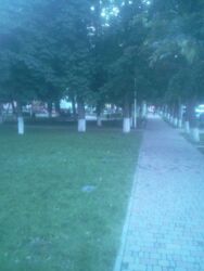 ������� �������� �������������, 4, ���, ������������ ���� 16