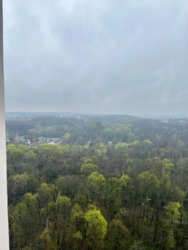 ������� �������� �����������, 15�, ���, �����������, �. ������� ���� 13