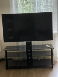 ������� �������� ����������, 31/1, ���, �����'������� ���� 20