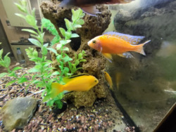 Здається квартира Володимира Івасюка, 12Д, Київ, Оболонський фото 17 Здається квартира Володимира Івасюка, 12Д, Київ, Оболонський фото 17