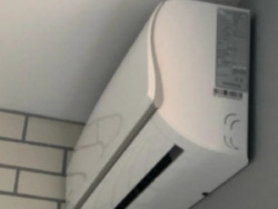 ������� �������� �������������, 18 �, ���, ������������ ���� 19