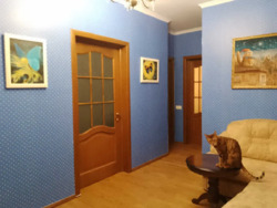 ������� �������� ���. ������, 35, ���, �����������, �. ����� ������ ���� 1