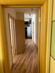 ������� �������� ��-� ������ �������������, 4�, ���, �����'������� ���� 12