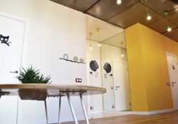 ������� �������� �������� ����� ˳, 2�, ���, �����������, �. ����������� ����� ���� 6