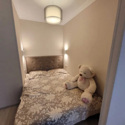 ������� �������� �������� �����������, 95�, ���, ����������� ���� 1