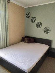 ������� �������� �������� �������������, 106�, ���, �������������, �. �������� ���� 1