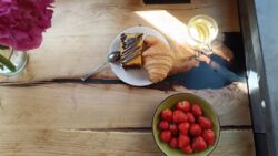 ������� �������� ���. ���������, 14�, ���, ������������ ���� 18