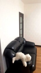   , ,   25, . ˳  4