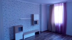   , 볿 , 50/2, .    5