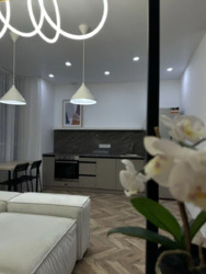 ������� �������� �����������, 73, ���, ������������� ���� 3